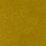 Strong Dark Yellow